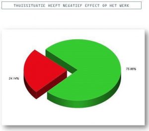 taartdiagram-resultaat