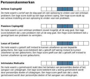 persoonskenmerken-vitaliteit-scan-test-resultaat-