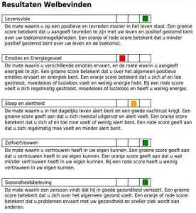 resultaat-vitaliteit-scan-welbevinden